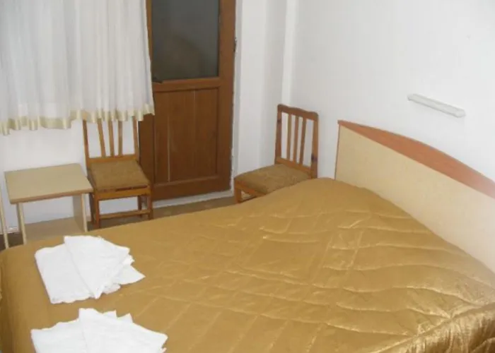 Suzanne هيسارونو